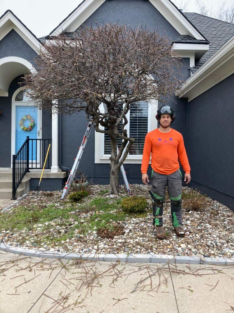 Royal Tree Service team portrait