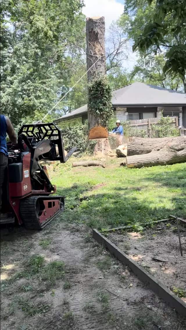 Royal Tree Service team